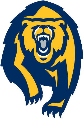 California Golden Bears 2013-Pres Alternate Logo diy DTF decal sticker